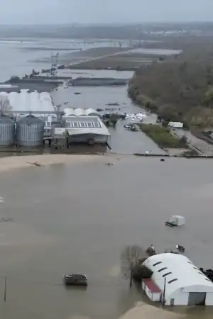 Rutura do dique do Mondego afeta meio milhão de plantas em produtora de Coimbra